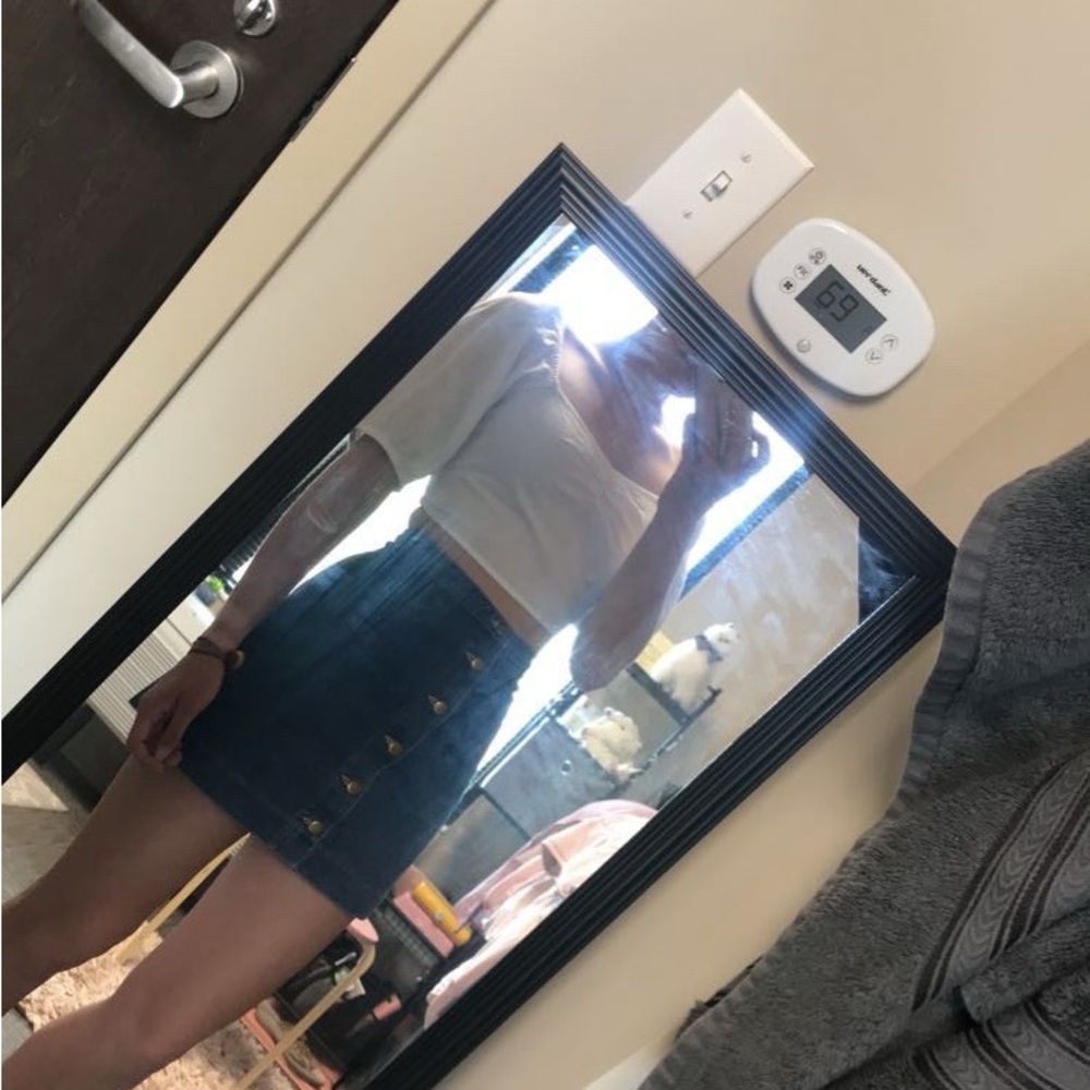 American Apparel Button-Front Dark Blue Denim Mini Skirt